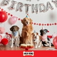 thumbnail image 4 of Milk Bone CELEBRATE Birthday Cake Artificially Flavored Biscuits, Small Dog Treats, 8 oz Bag, 4 of 12