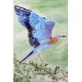 thumbnail image 2 of Derr, Wynn 17x24 Gold Ornate Wood Framed with Double Matting Museum Art Print Titled - European Roller, 2 of 4