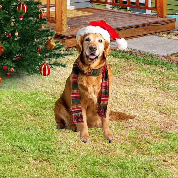Seyotauo Christmas Santa Hat Dog Garden Stake Decoration - Iron Outdoor Christmas Decorations, Festive Yard & Lawn Ornament for Christmas Parties, Holiday Gatherings & Outdoor Christmas Celebrations