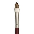 thumbnail image 1 of CEPILLO REAL ROYAL BRUSH  RYL9502010, 1 of 1