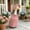 Red RD, variant on AuroraX Porch Goose Summer Outfit 17-19 In Porch Goose Clothes Set 23" Checked Dress Front Porch Goose 23 inch Clothing Fall Summer Seasonal Decor