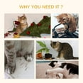 thumbnail image 6 of PawHut Cattail Weave Cat Tree for Indoor Cats with Rattan Cat Condo, Bed, 6 of 9