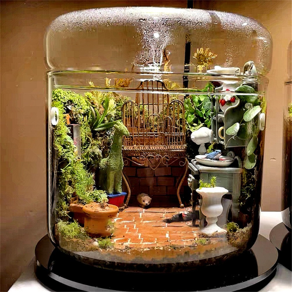 Micro-Landscape Glass Terrarium with Dew Collection Cover, Bonsai