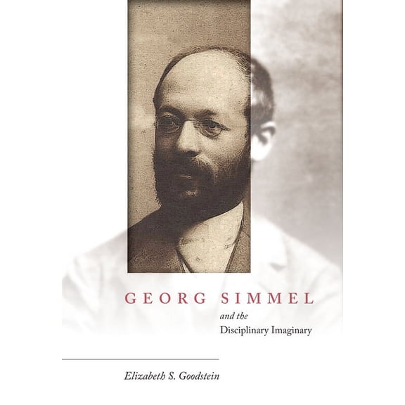Georg Simmel and the Disciplinary Imaginary (Hardcover)