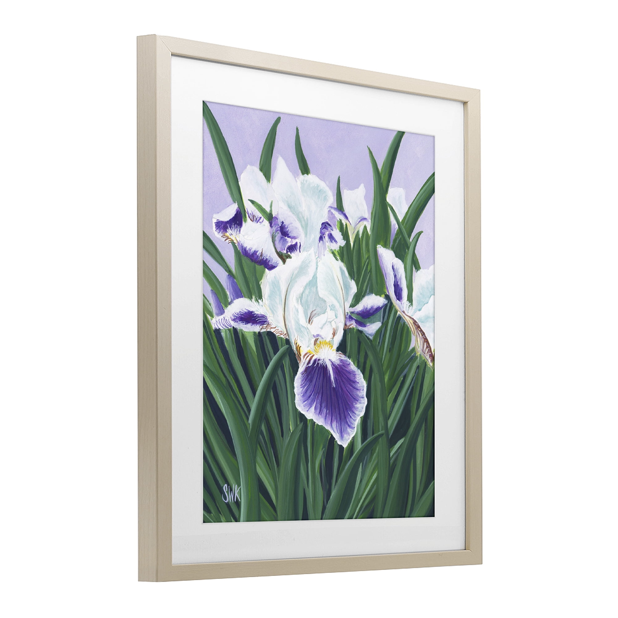 Stupell Industries Purple & White Irises Birch Framed Print Under Glass, design by Sarah Waldron Kimball