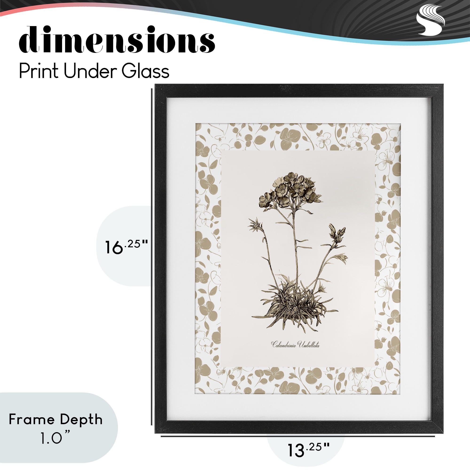 Stupell Industries Neutral Imperial Flower & Herb Black Framed Print Under Glass, design by Kelly Donovan