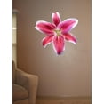 thumbnail image 2 of Hollis Pink Stargazer Lily Wall Decal Cutout, 2 of 2