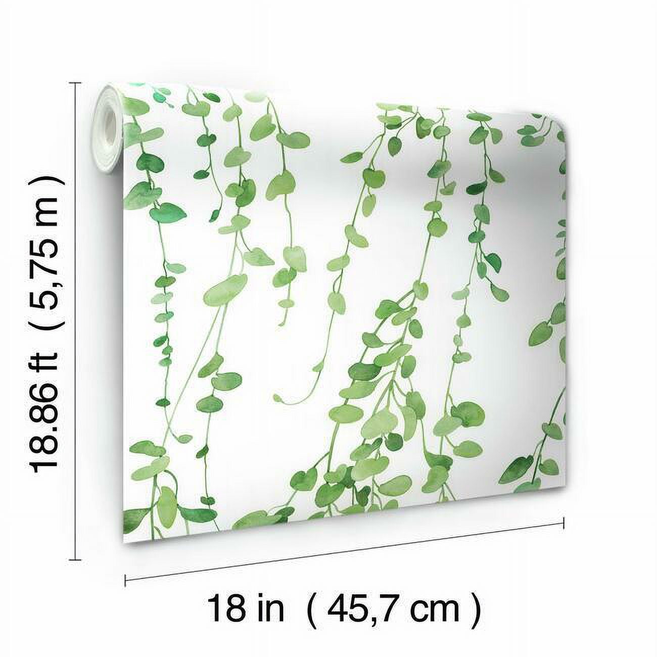 Hanging Watercolor Vines Peel and Stick Wallpaper