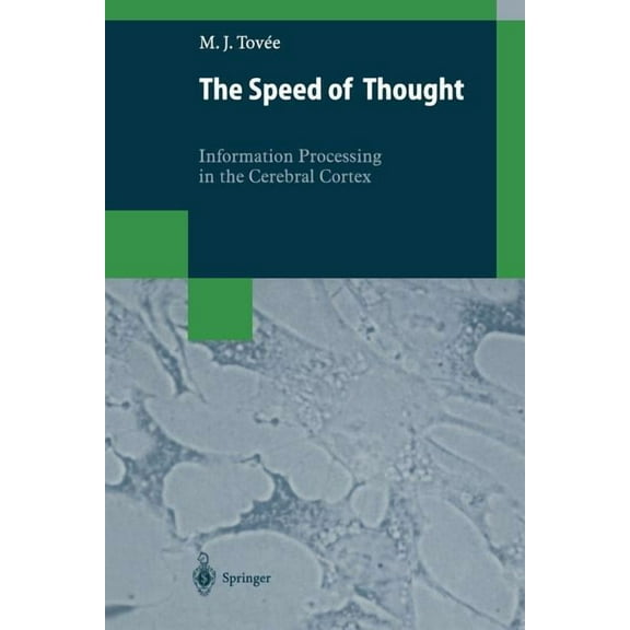 The Speed of Thought: Information Processing in the Cerebral Cortex, (Paperback)