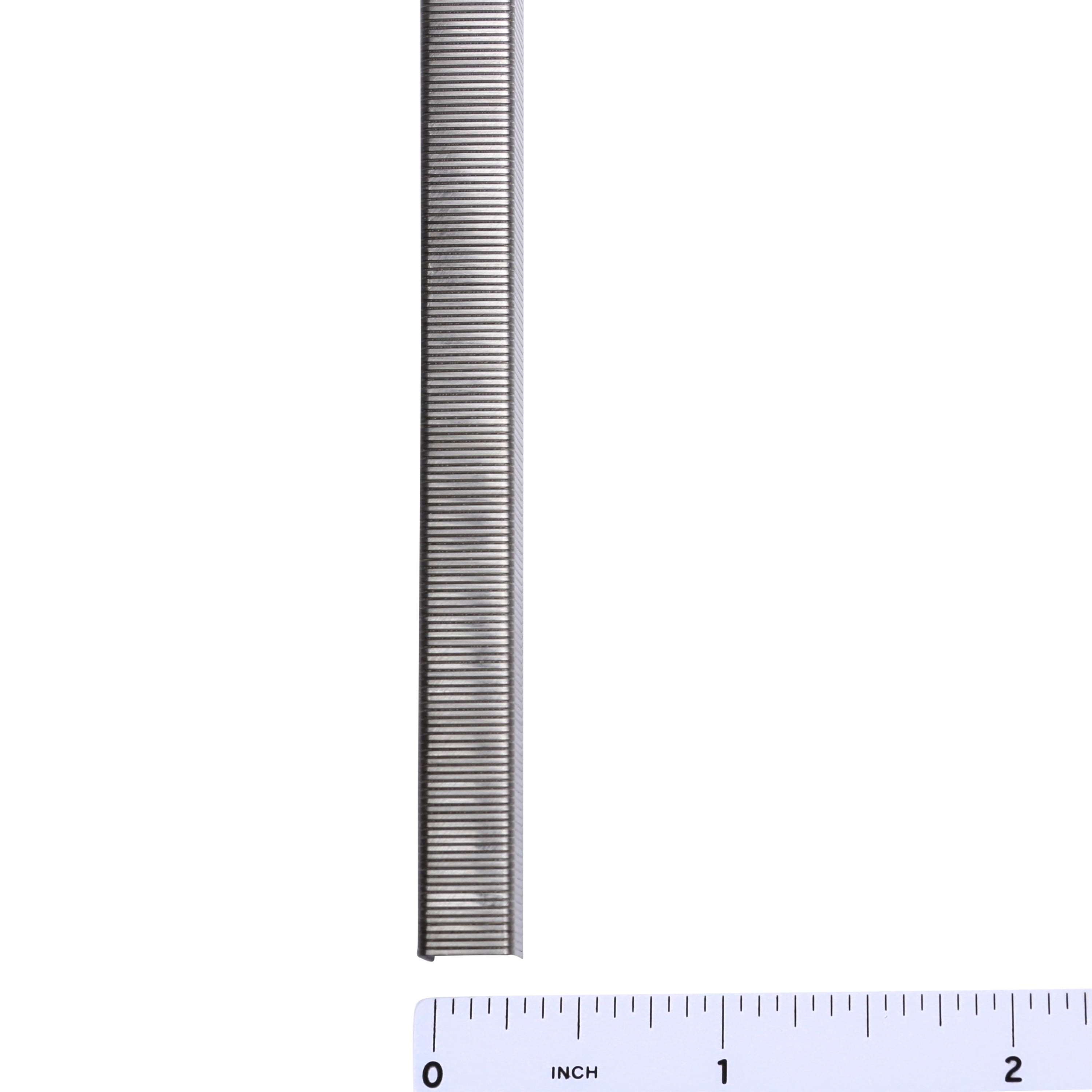 BeA 10003251 Series 71/12SS Stainless Steel Staples 1/2" deep 5 boxes of 10,000 per box