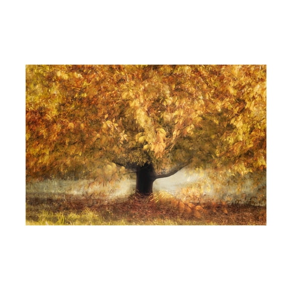 Trademark Fine Art Nel Talen Gold Colors Canvas Wall Art