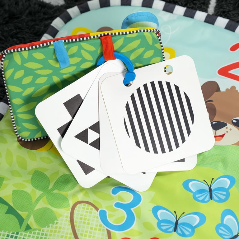 Baby Einstein Discovery Garden Tummy Time Mat & Mirror, Unisex