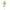Multicolor, variant on Christmas Decorations Clearance! PRETXORVE Christmas Decoration Light LED Christmas Tree Plug-in Light Outdoor Garden Decoration Light