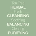 thumbnail image 4 of Plant Therapy Tea Tree (Melaleuca) Hydrosol 16 oz by-Product of Essential Oils, 4 of 7