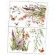 thumbnail image 5 of 2 pegatinas de pared florales de , calcomanías de flores, pegatinas de pared de , decoración del hogar para superficies de madera,, 5 of 9