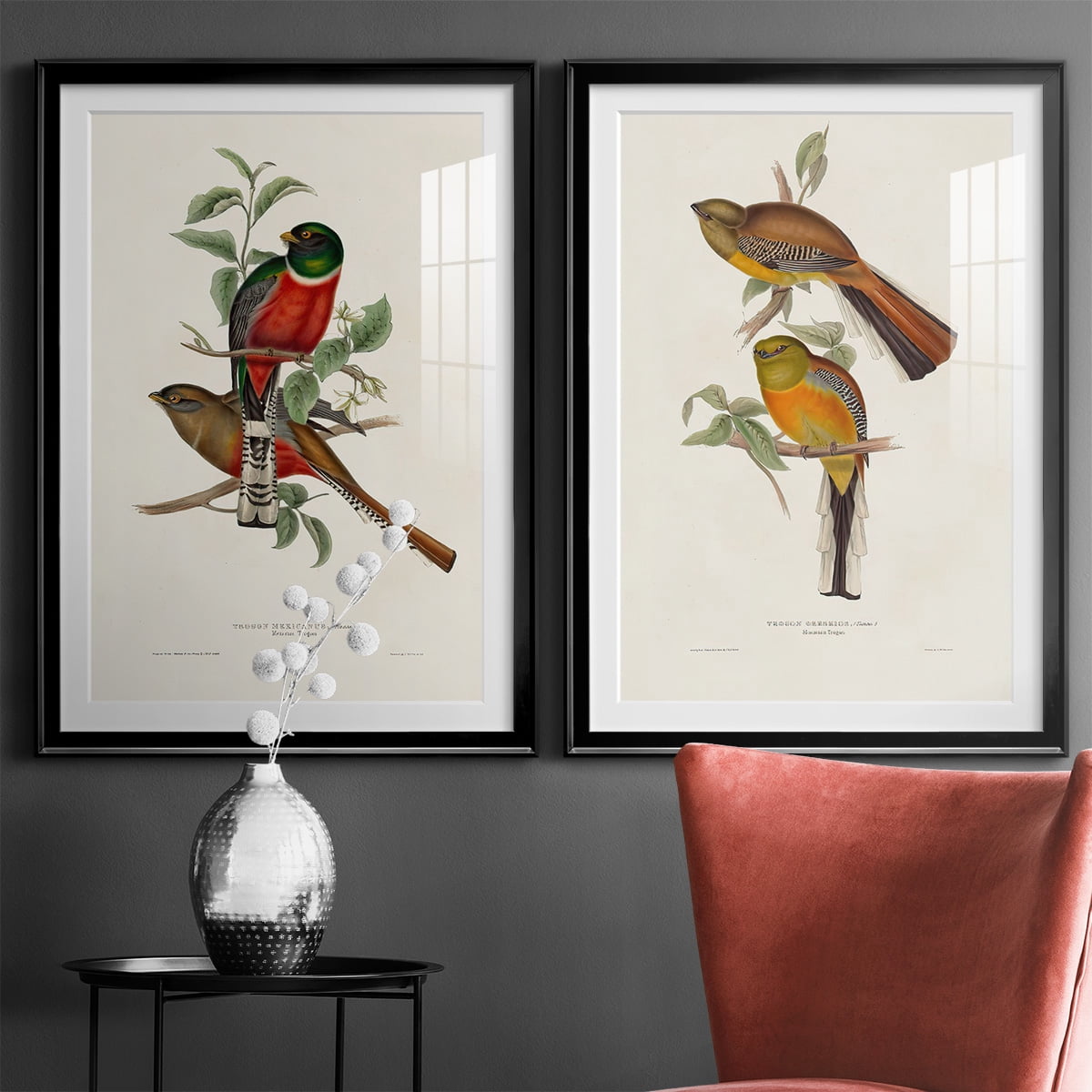 Wexford Home Elegant Trogons I Premium Framed Print, 18.5" x 24.5" - Ready to Hang, Black (Set of 2)