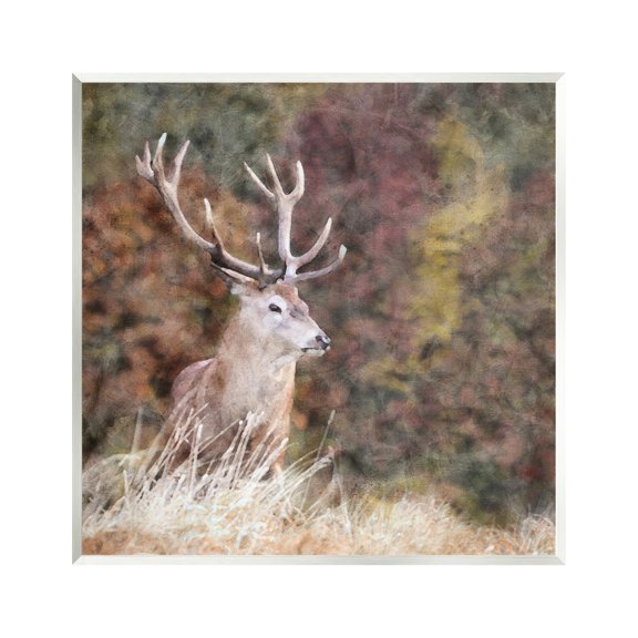 Stupell Industries Deer in Forest Nature Animals & Insects Painting Unframed Art Print Wall Art, 12 x 12