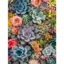 CSZPPQA Diamond Painting Kits for Adults 11.8×15.8 in,Succulent 5D DIY Diamond Art Kit for Home Wall Decor