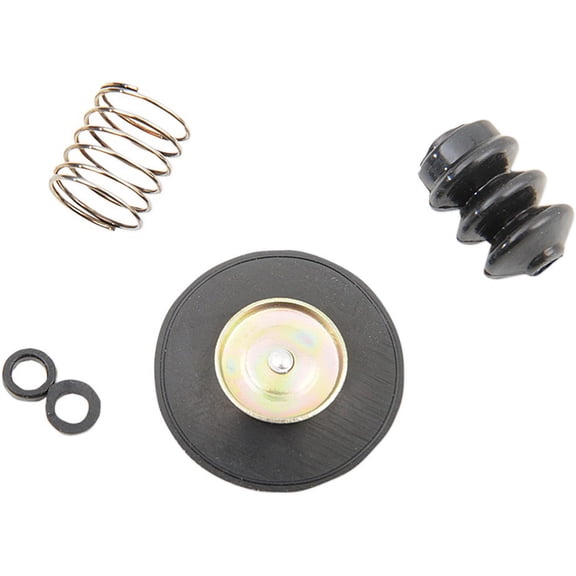 Diaphragm Rebuild Kit