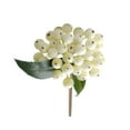 thumbnail image 1 of Yuedong Flower Arrangement Accessories Berry Artificial Berries Eco-friendly Living Room Decoration 8 Colors Small Fruit Bunches, 1 of 22