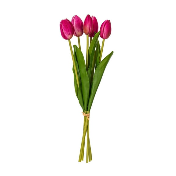 16"H Pink Cream Tulip Bundle of 5 2/Bag