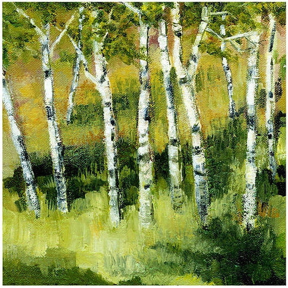 Trademark Fine Art "Birch Trees" Canvas Art by Michelle Calkins, 24x24