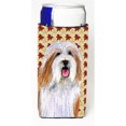 thumbnail image 1 of Bearded Collie Fall Leaves Portrait Michelob Ultra s For Slim Cans - 12 oz., 1 of 1