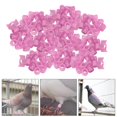 thumbnail image 4 of Yinanstore 100x Reusable Birds Foot Bands Pigeon Leg Rings Racing Plastic Tags Numbered Training Identify Tool for Small Poultry, , Finch, Parrots , Red, 4 of 8