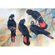 thumbnail image 1 of Cuadros Decorativos 5D bricolaje taladro completo diamante pintura pájaro animal punto de cruz bordado (3) Tmvgtek embutido en tela, 1 of 7