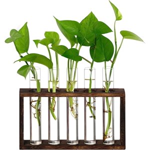 5Test Tube Plant Propagation Station Plant Terrarium Wooden Stand