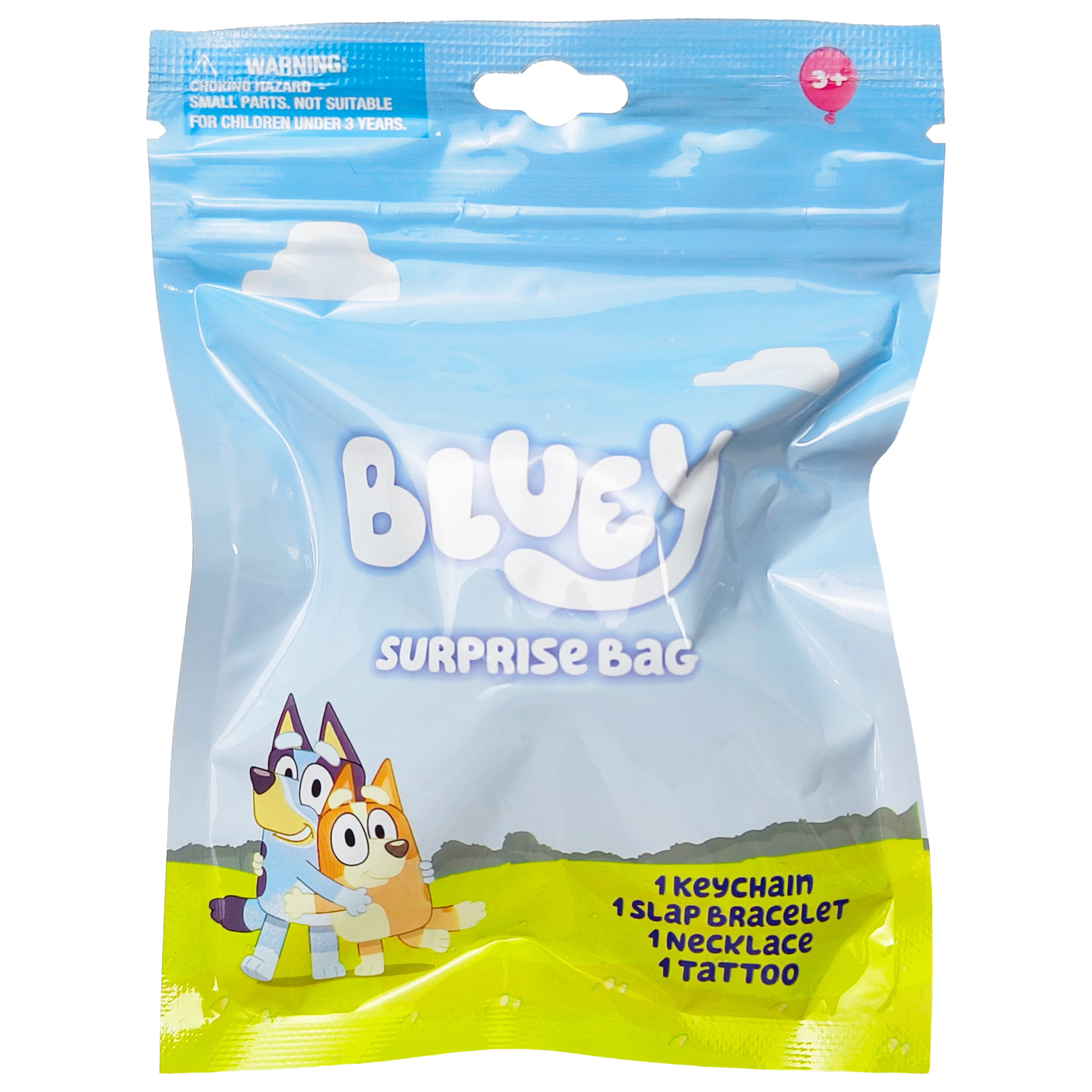 Bluey Themed 4 Piece Surprise Party Favor Bag Set