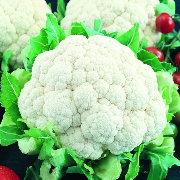 Organic Self Blanching Cauliflower Seed - 500 mg ~150 Seeds - Organic, Heirloom, Open Pollinated, Non-GMO, Farm & Vegetable Gardening & Micro Greens Seeds