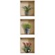 thumbnail image 1 of Calcomanías de Pared Baoblaze Decoración Multicolor 30 x 30 cm, 1 of 8