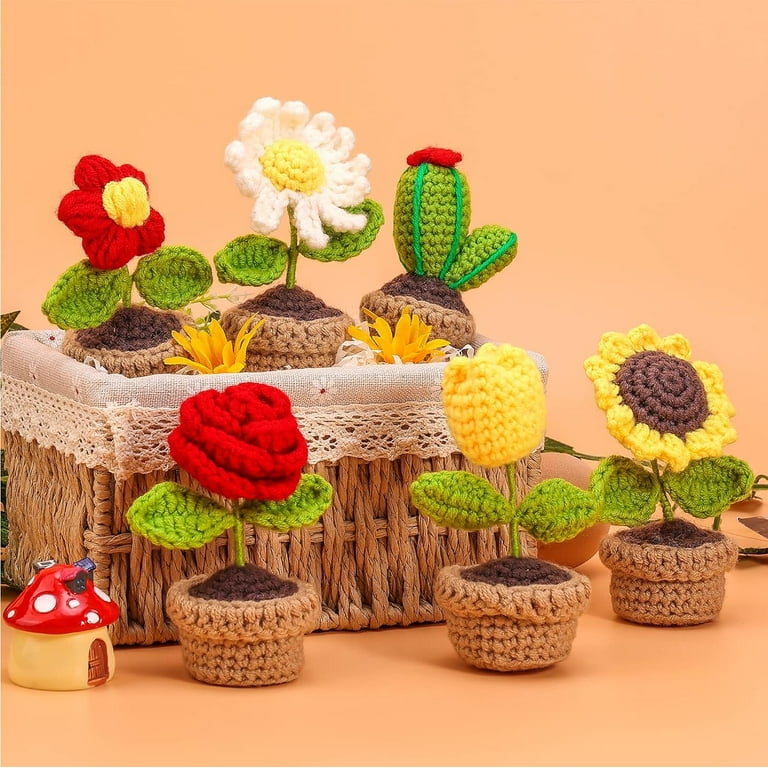 Complete Crochet Kit for Beginners - 6 PCS Potted Plants,Starter Pack for  Adults and Kids with Step-by-Step Instructions and Video Tutorials