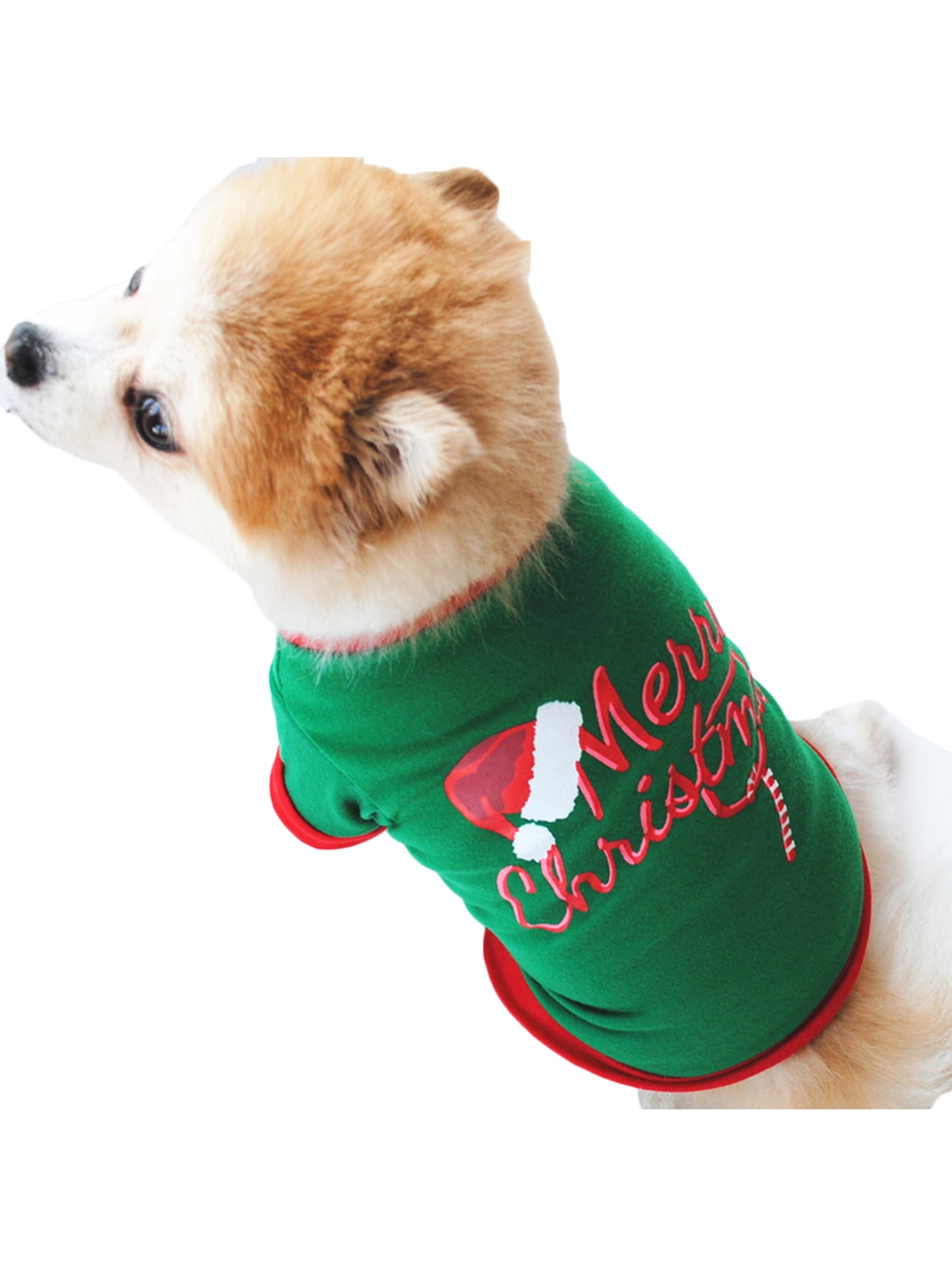 pet cloth shop near me