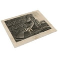 thumbnail image 3 of Print: American Pheasant, 1832, 3 of 4