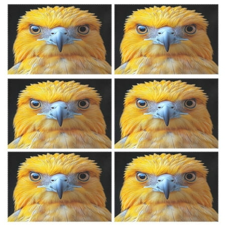 

Ryvnso Placemats Set of 6 Parrot Head Dining Mats Heat-Resistant Non-Slip Washable Table Mat