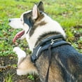 thumbnail image 4 of Perro/cachorro Obedience Recall Training Agility Boot Training Leash - Ideal para entrenar, jugar, acampar Adepaton CPB-US-DYP292-8, 4 of 5