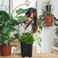 thumbnail image 4 of Macetas para plantas de interior, 8 unidades, jardineras para exterior, control de plantación, plástico, 4 of 6