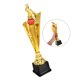 thumbnail image 5 of unbranded Trofeo De Multicolor Para Competencias Deportivas Con Y Símbolo De, 5 of 8