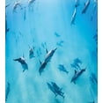 thumbnail image 3 of Hawaiian Duvet Cover Set, Group of Dolphins in Hawaii Wildlife Underwater Animals Tropical Aquatic Nature Picture, Decorative 3 Piece Bedding Set with 2 Pillow Shams, King Size, Blue, by Ambesonne, 3 of 3
