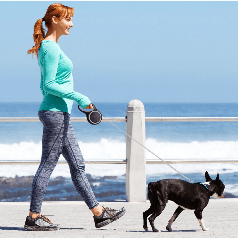 UrbanX Retractable Dog Leash For Golden Retriever And, 60 OFF
