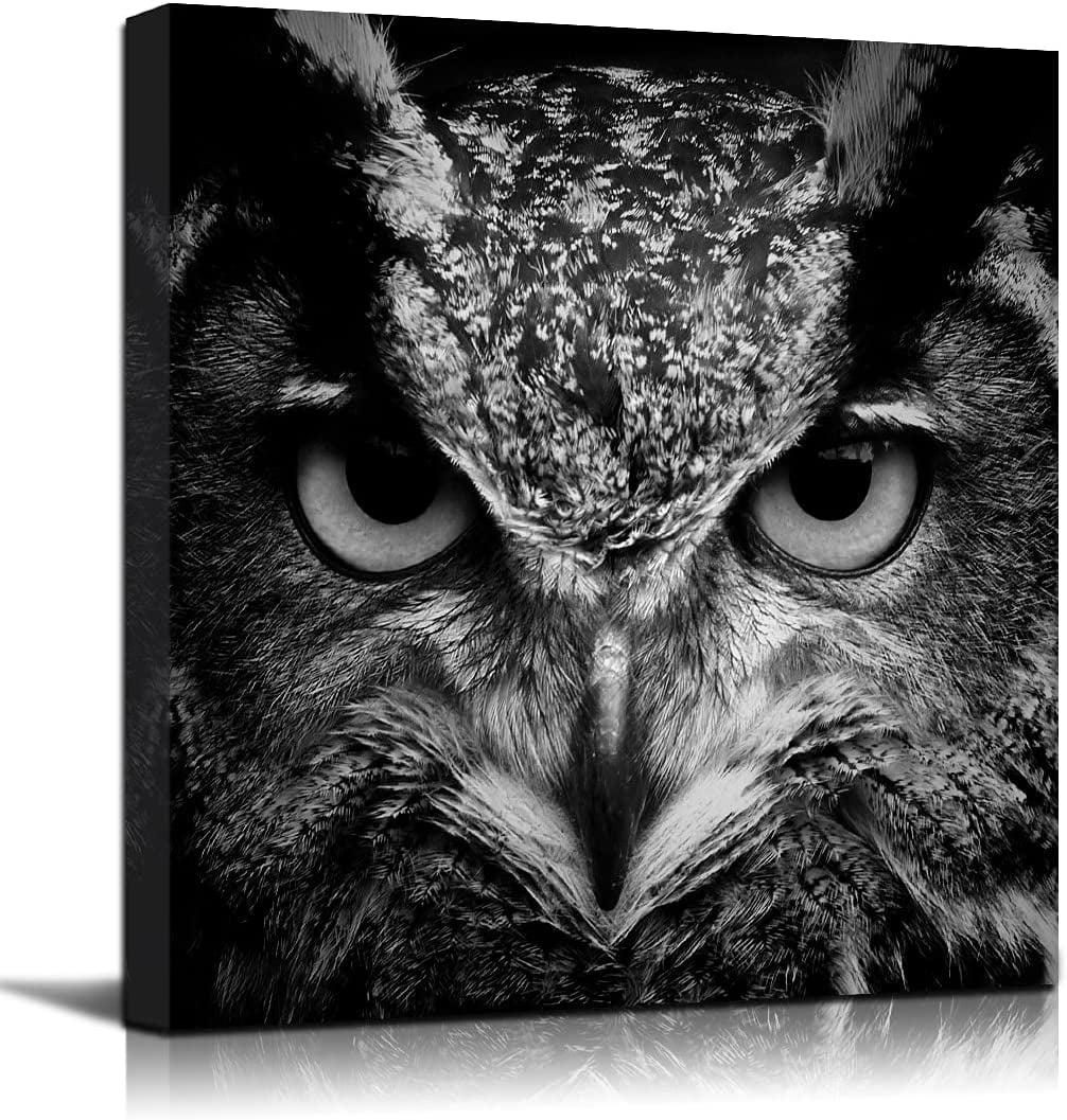 Black and White Owl Wall Art Halloween Decorations Animal Head Painting