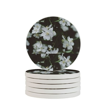 

Circular Drink Coasters Set White Petaled Flowers Beautiful Home Decor Diatomite Heat-Resistant Diatomite Protect Table Countertop