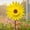 Yellow, variant on Wind Mill for Yard and Garden,Garden Party Decor,Sunflower Yard Pinwheels, Wind Spinners Large Windmill Pinwheels for Garden, 360° Rotating Windmill Yard Art, Party Outdoor Decor(Purple 14IN)