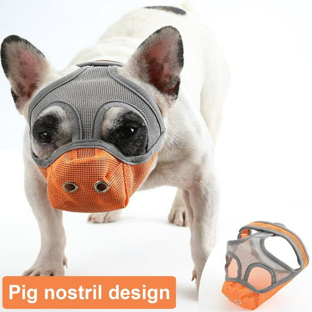 Bulldog supplies top