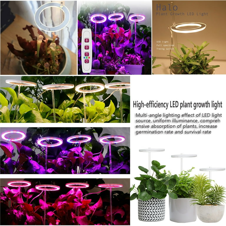 terrarium plants buy Silo Planted Terrarium main image 0