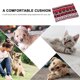 thumbnail image 5 of Alfombrilla de franela para mascotas Alfombrilla para dormir gruesa cálida para mascotas Colcha para perros Colchoneta para jaulas para invierno, 5 of 6