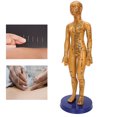 thumbnail image 4 of Human Body Acupuncture Model, Odorless Useful Body Acupuncture Model, For Massage Model Female Model,Male Model, 4 of 8