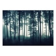 thumbnail image 2 of Tiptophomedecor Landscape Wallpaper Wall Mural - Dark Forest, 2 of 3